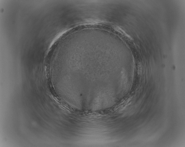 X0000074041208200609111730