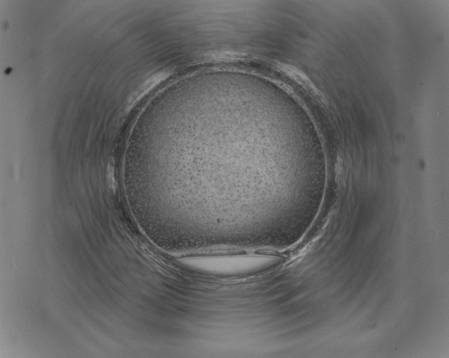 X0000074041209200609111730