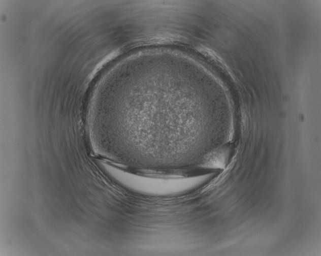 X0000074041210200609111730