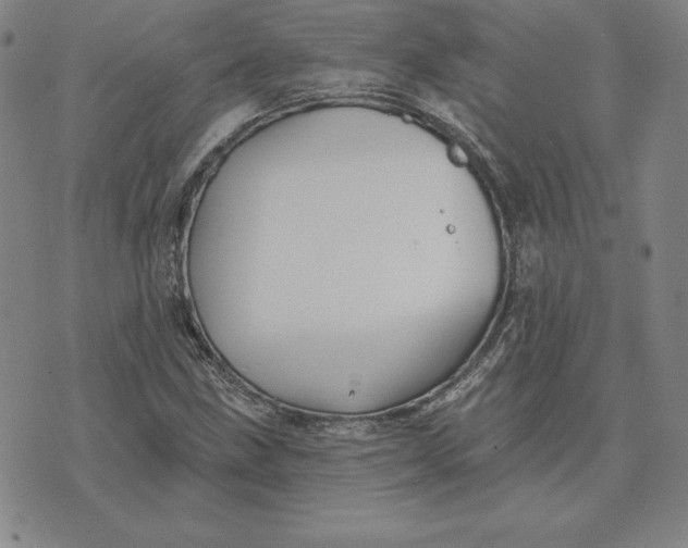 X0000074041211200609111730