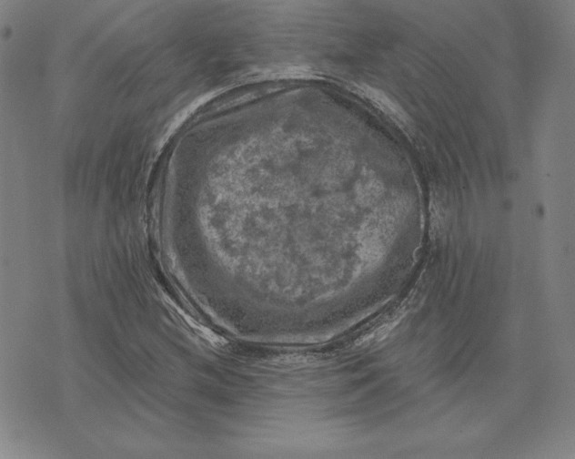 X0000074041212200609111730