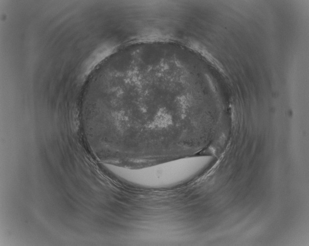 X0000074041213200609111730