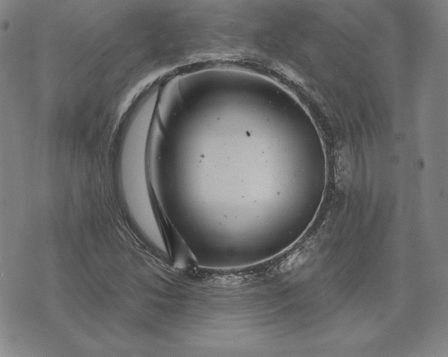 X0000074041214200609111730