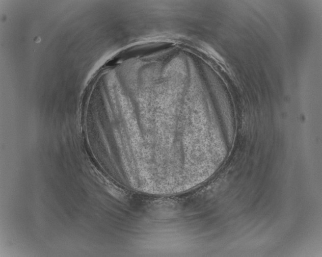 X0000074041216200609111731