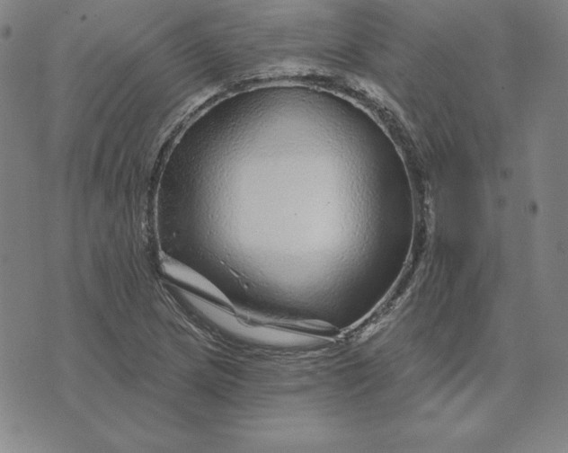 X0000074041217200609111731