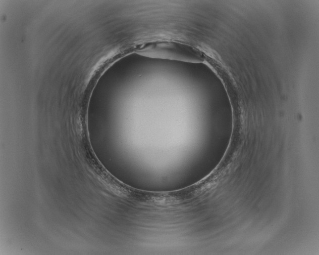 X0000074041218200609111731