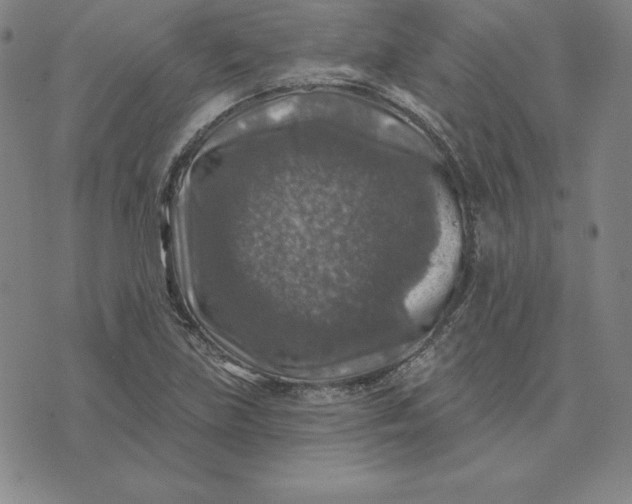 X0000074041219200609111731