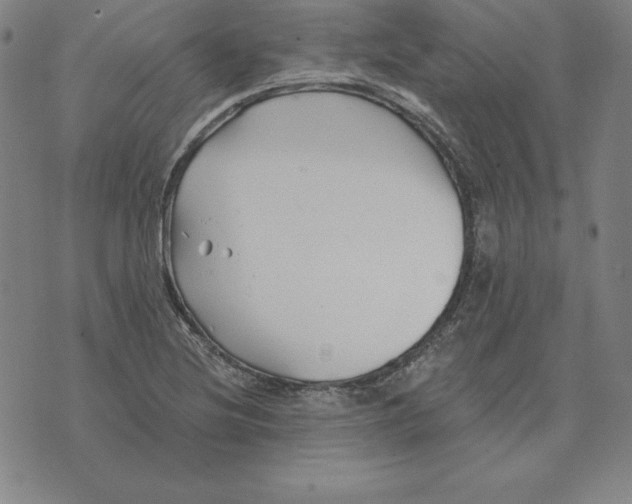 X0000074041220200609111731