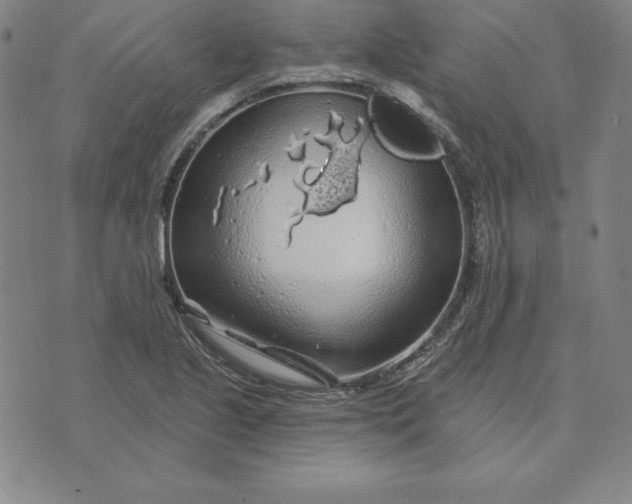 X0000074041221200609111731