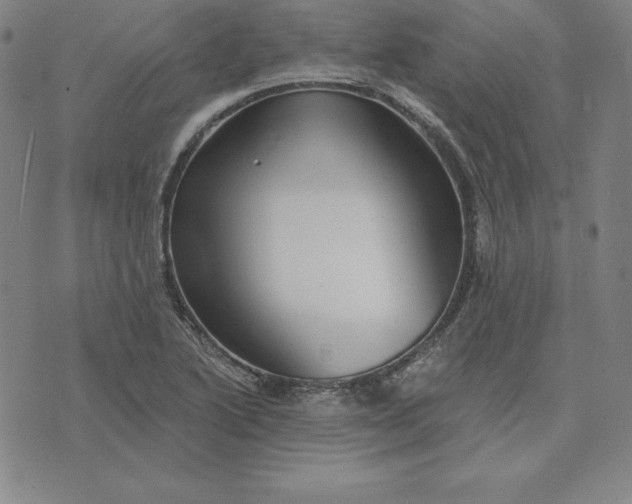 X0000074041222200609111731