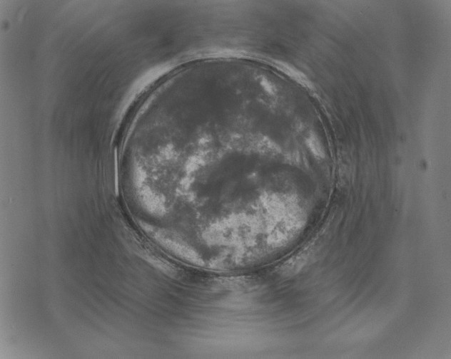 X0000074041223200609111731