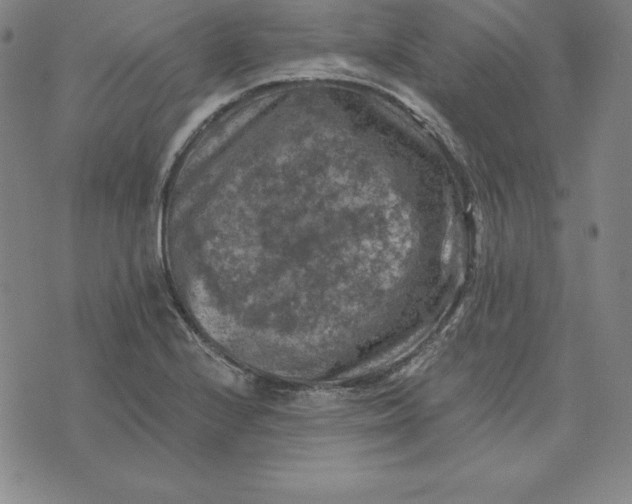 X0000074041224200609111731