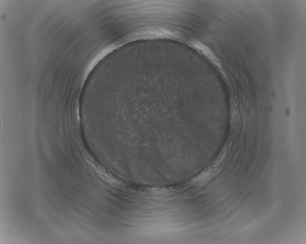 X0000074041226200609111731