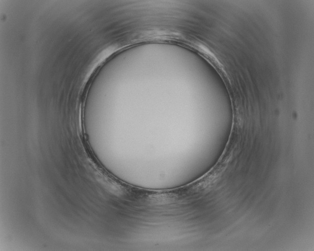 X0000074041227200609111731