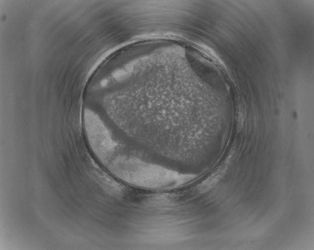 X0000074041228200609111731