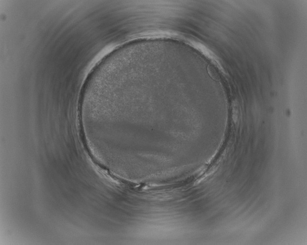 X0000074041229200609111731