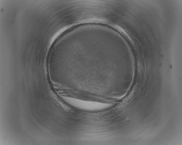 X0000074041230200609111731