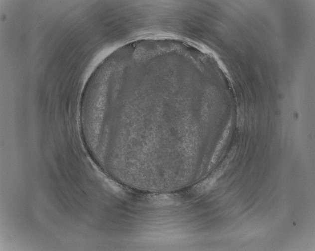 X0000074041231200609111731