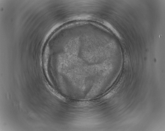 X0000074041232200609111731