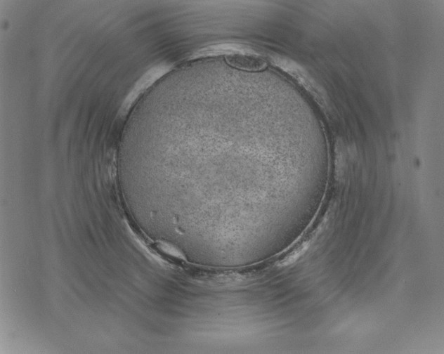 X0000074041233200609111731