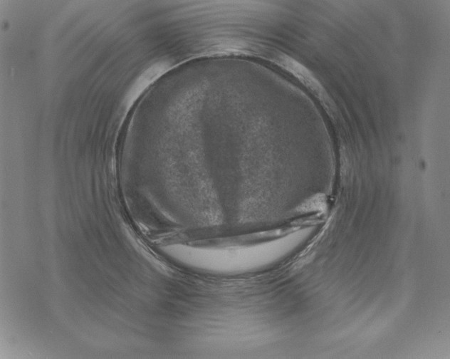 X0000074041234200609111731