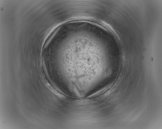 X0000074041236200609111731