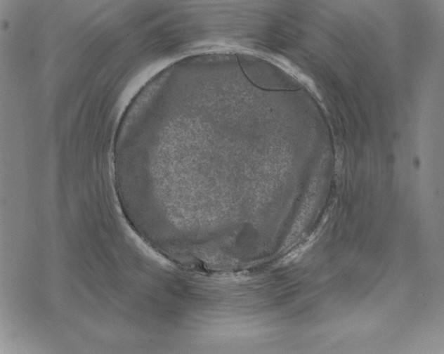 X0000074041239200609111731