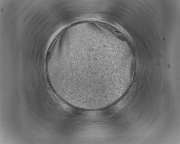 X0000074041240200609111731