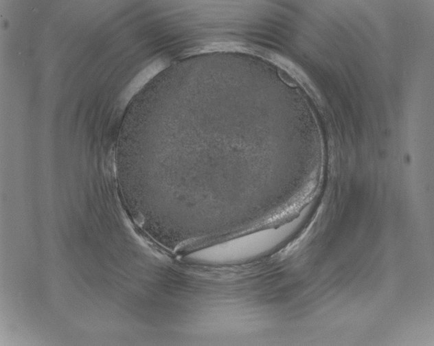 X0000074041241200609111731