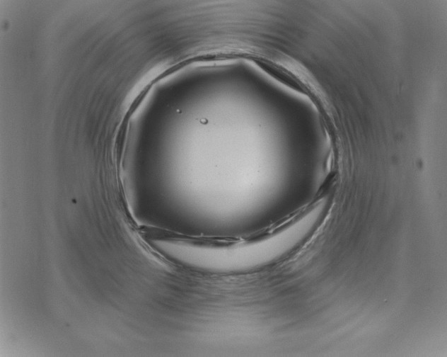 X0000074041242200609111731