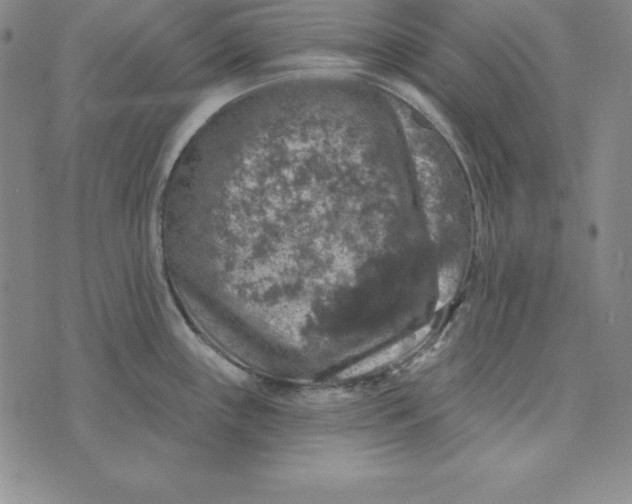 X0000074041243200609111731