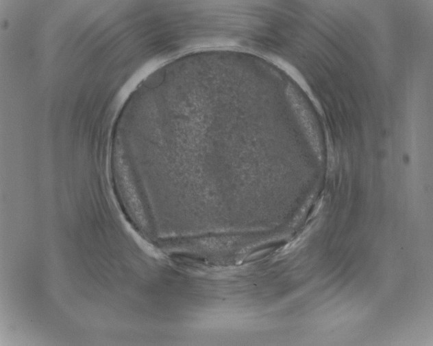 X0000074041245200609111731