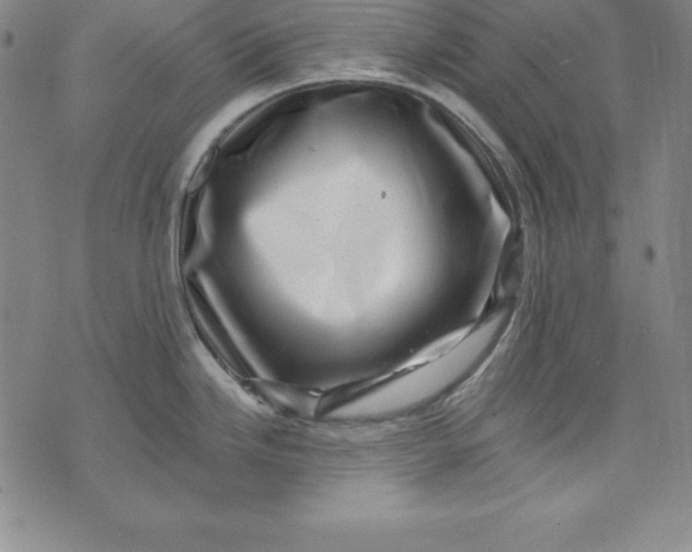 X0000074041246200609111731