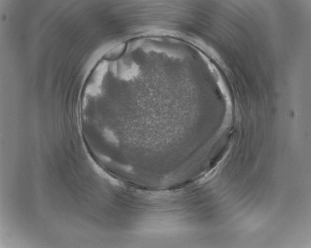 X0000074041247200609111731