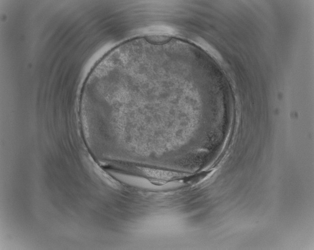 X0000074041248200609111731