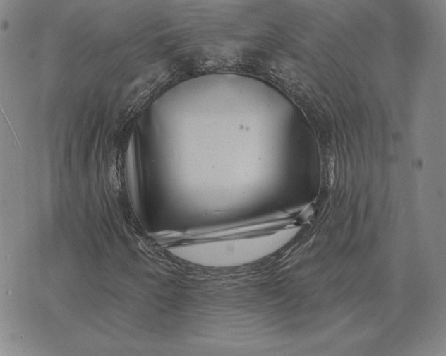 X0000074041250200609111730