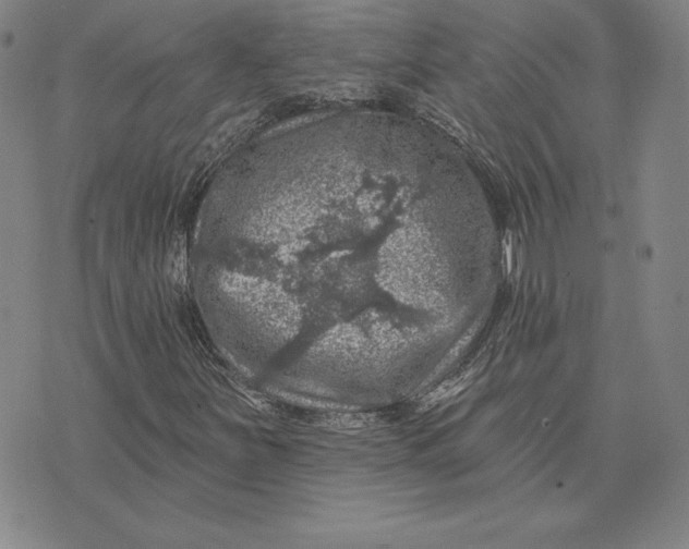 X0000074041251200609111730