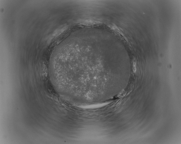 X0000074041253200609111730