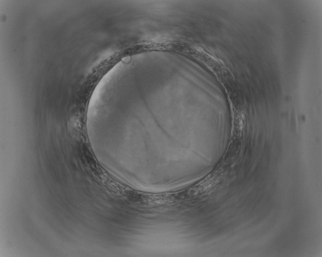 X0000074041254200609111730