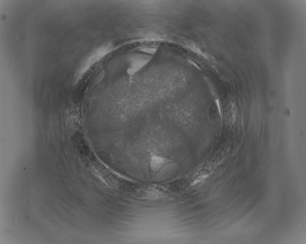 X0000074041255200609111730