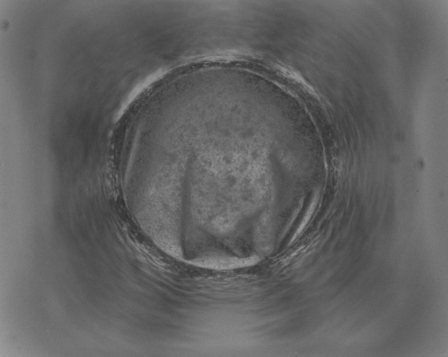 X0000074041256200609111730