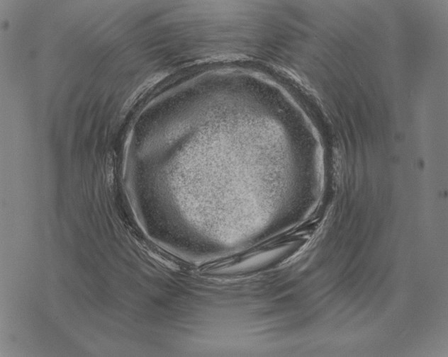 X0000074041257200609111730