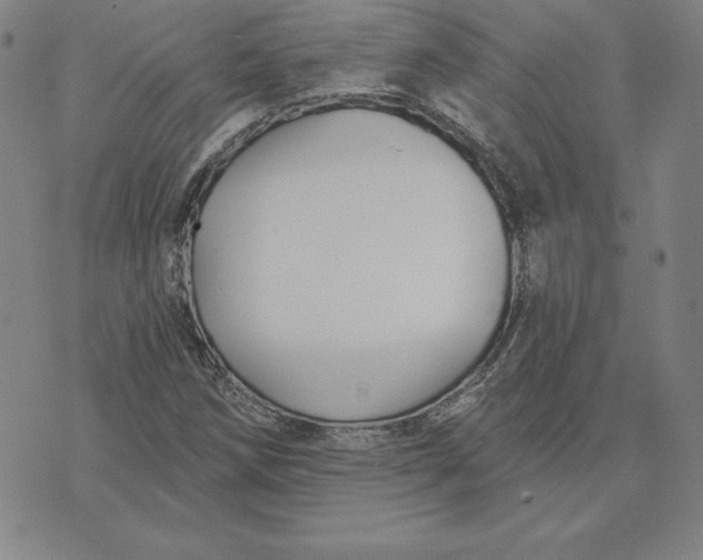 X0000074041258200609111730