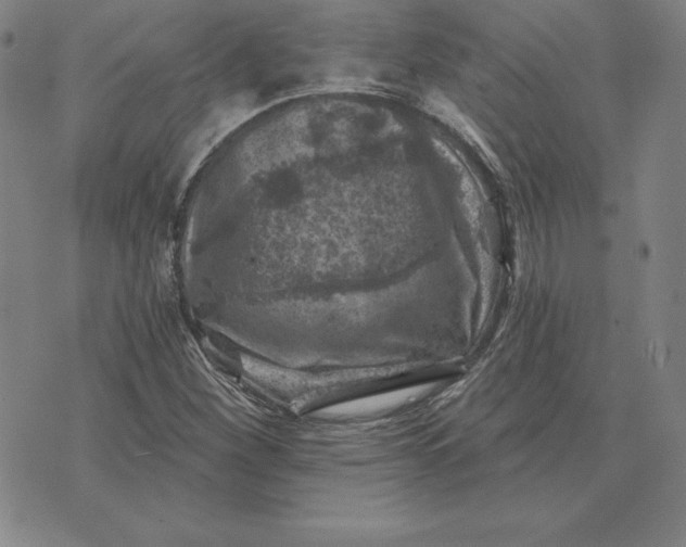 X0000074041260200609111730