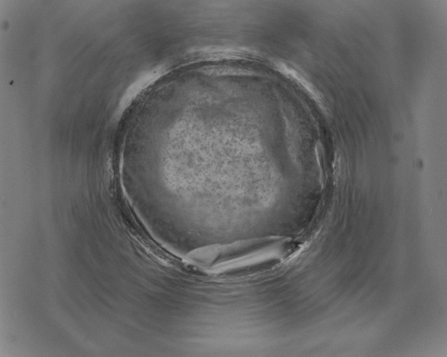 X0000074041261200609111730