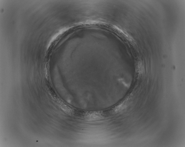 X0000074041262200609111730