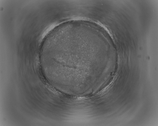 X0000074041263200609111730