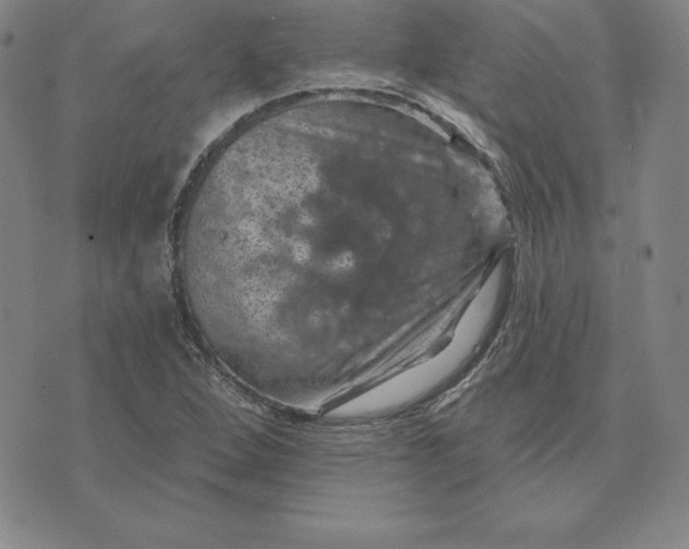 X0000074041264200609111730