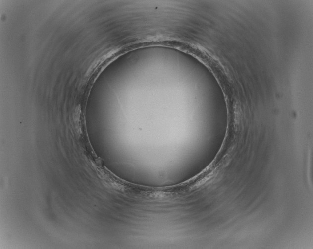 X0000074041265200609111730