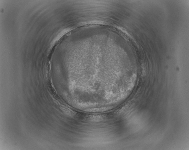 X0000074041266200609111730